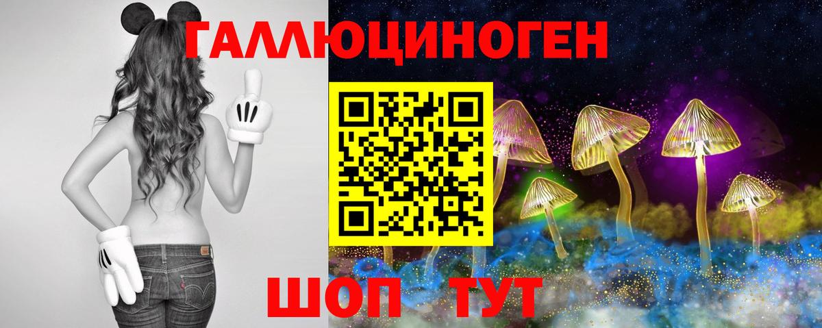 Орёл  купить наркотик  Вход с VPN  Псилоцибиновые грибы GOLDEN TEACHER 